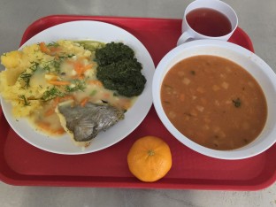 Obiad Dieta Lekkostrawna 14.03.2025